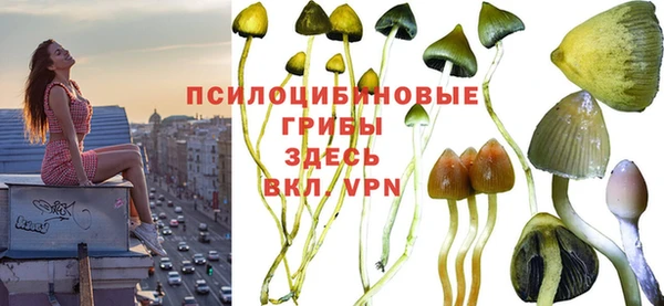 mdpv Балабаново