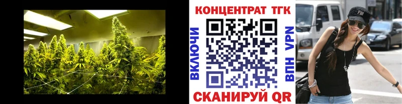 Дистиллят ТГК концентрат  Ачхой-Мартан 